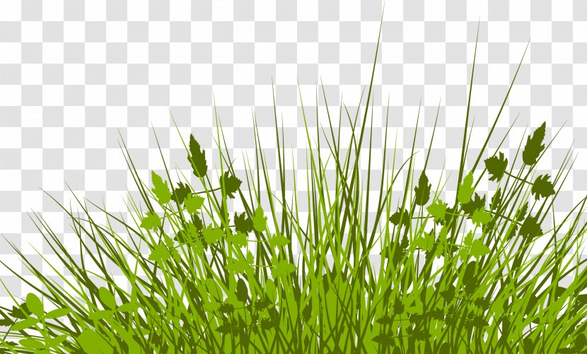 Silhouette Royalty-free Clip Art - Stock Photography - Grass Transparent PNG
