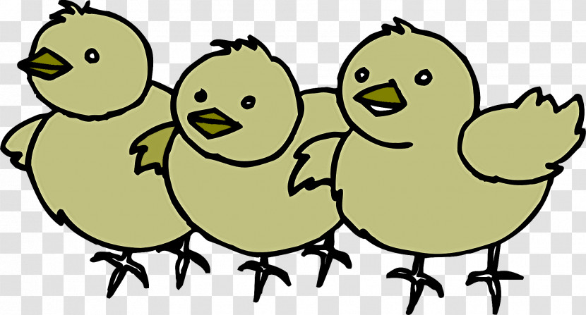 Yellow Cartoon Beak Line Art Bird Transparent PNG