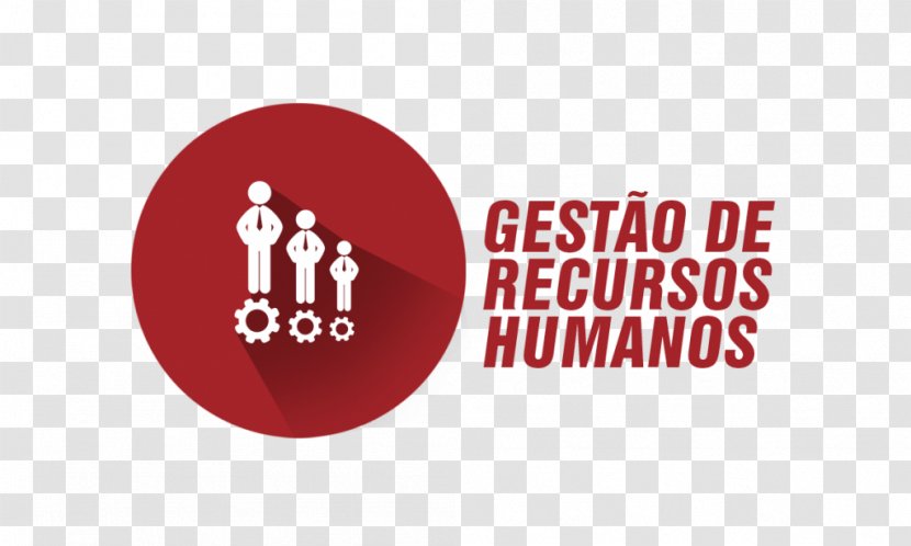 Human Resource Management Organization - Whatsapp Logo Transparent PNG