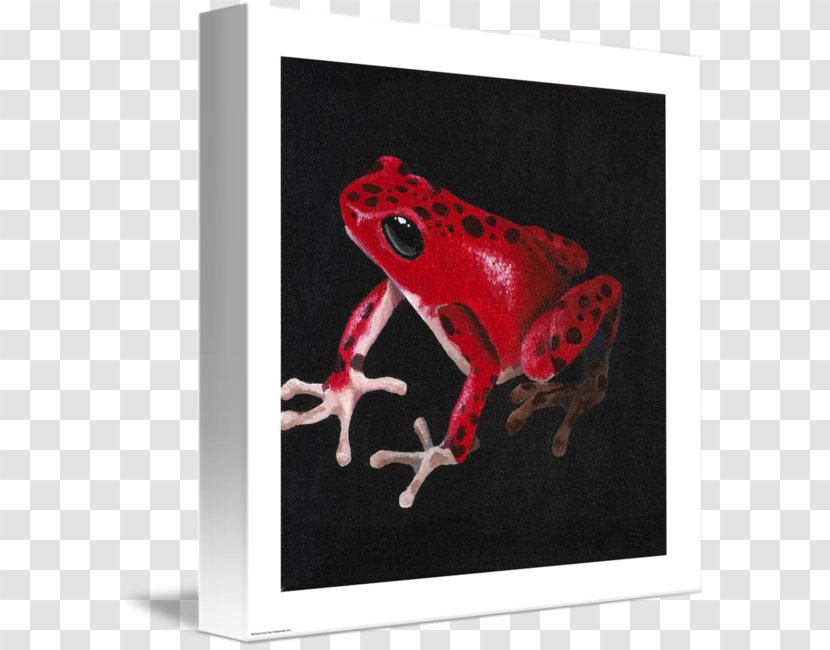 Tree Frog - Red Transparent PNG