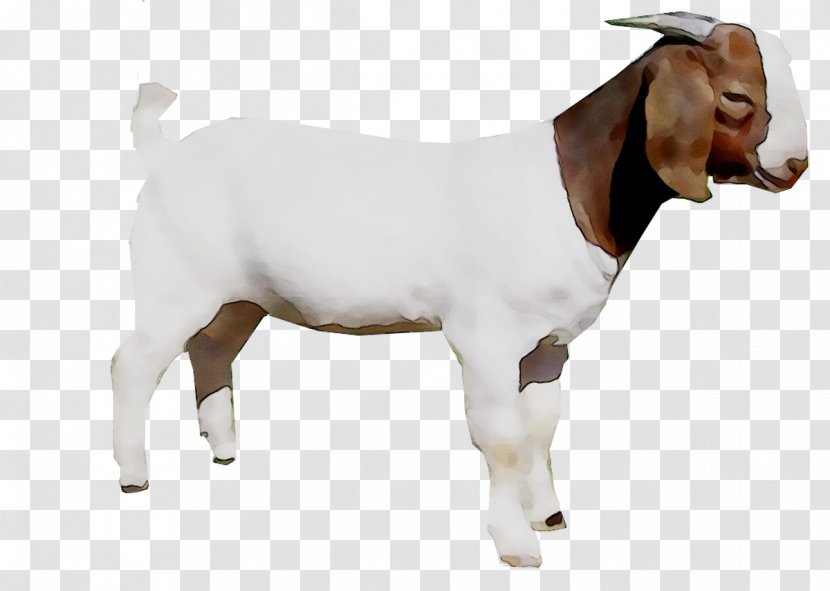 Goat Farming Cattle Agriculture - Breed Transparent PNG