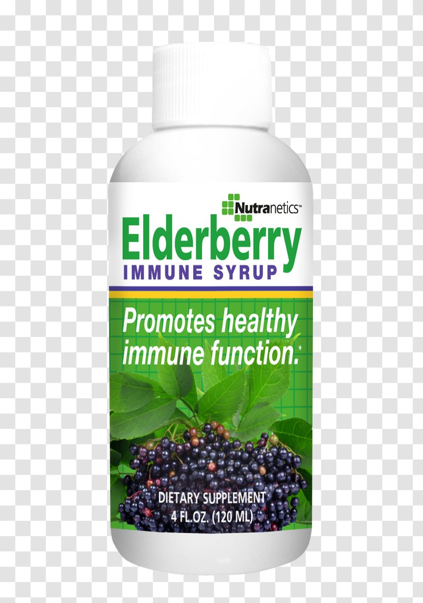 Superfood Hare Honda - Elderberries Transparent PNG