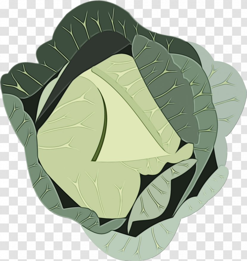Cabbage Leaf Green Wild Vegetable - Cruciferous Vegetables Transparent PNG