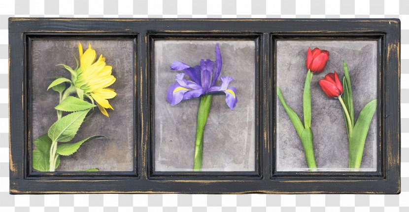 Floral Design Still Life Cut Flowers Tulip Picture Frames - Frame Transparent PNG