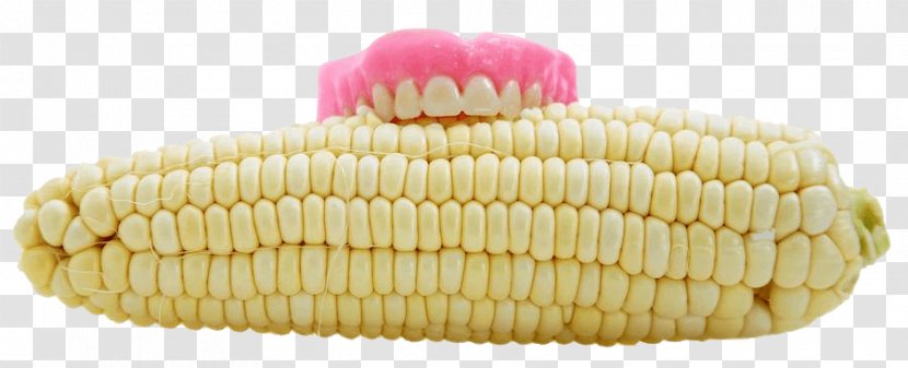 Dentures Human Tooth Corn On The Cob Dentistry - Commodity Transparent PNG
