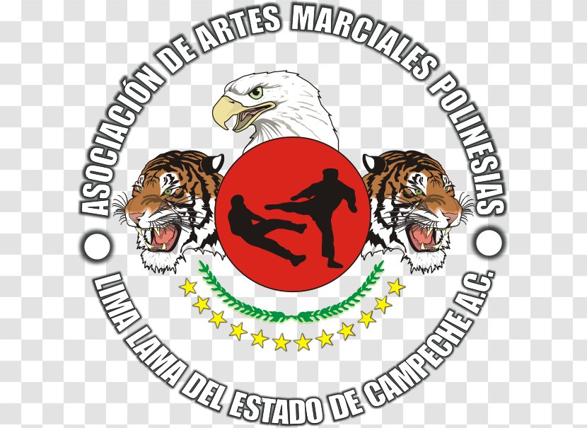 Tiger Carnivora Logo Brand Clip Art - Carnivoran Transparent PNG
