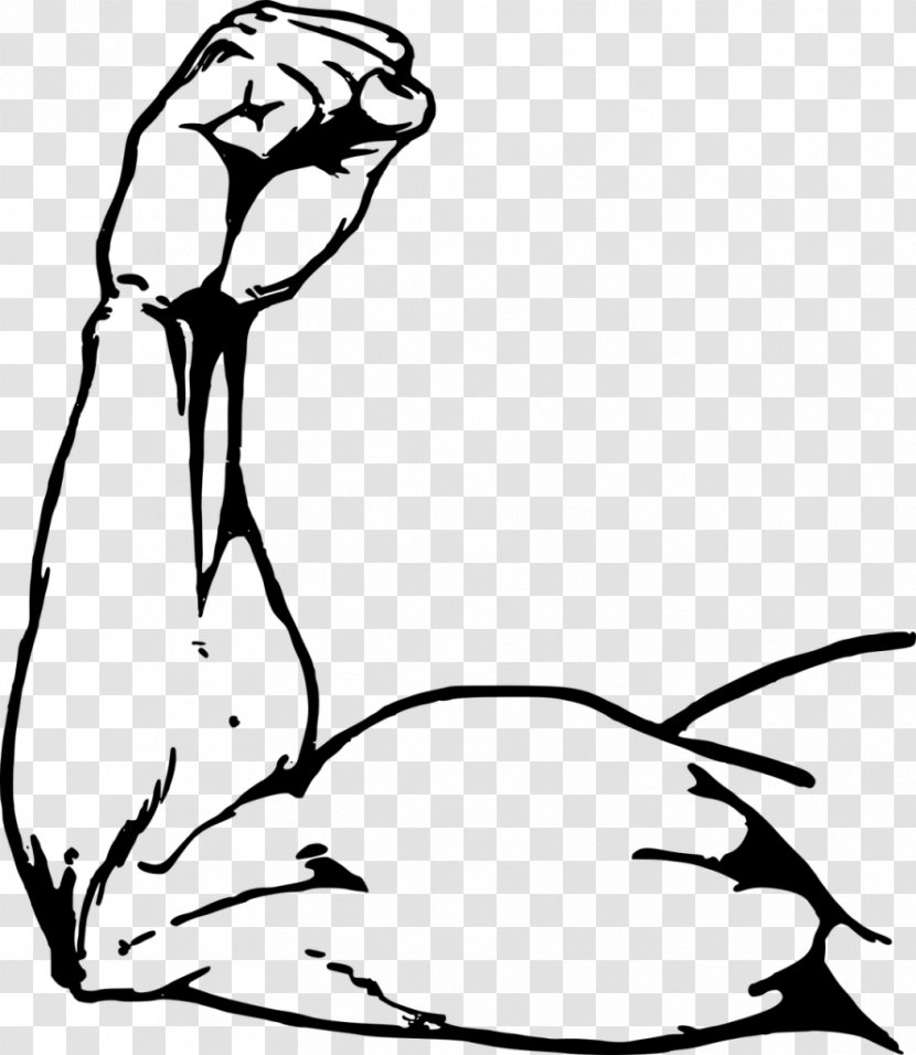 Muscle Arms Biceps Drawing - Watercolor - Arm Transparent PNG
