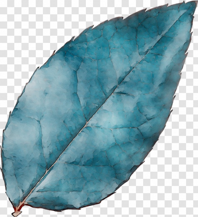 Leaf Turquoise - Blue Transparent PNG
