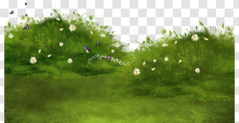 Watercolor Painting Clip Art - Plant - Grass Transparent PNG