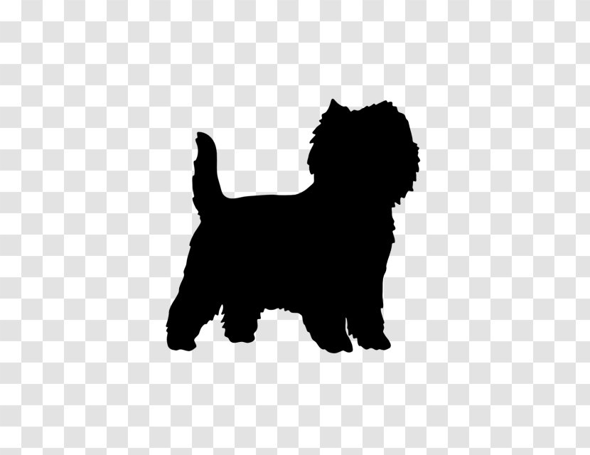 Affenpinscher Puppy Cat Dog Breed - Clothing Transparent PNG