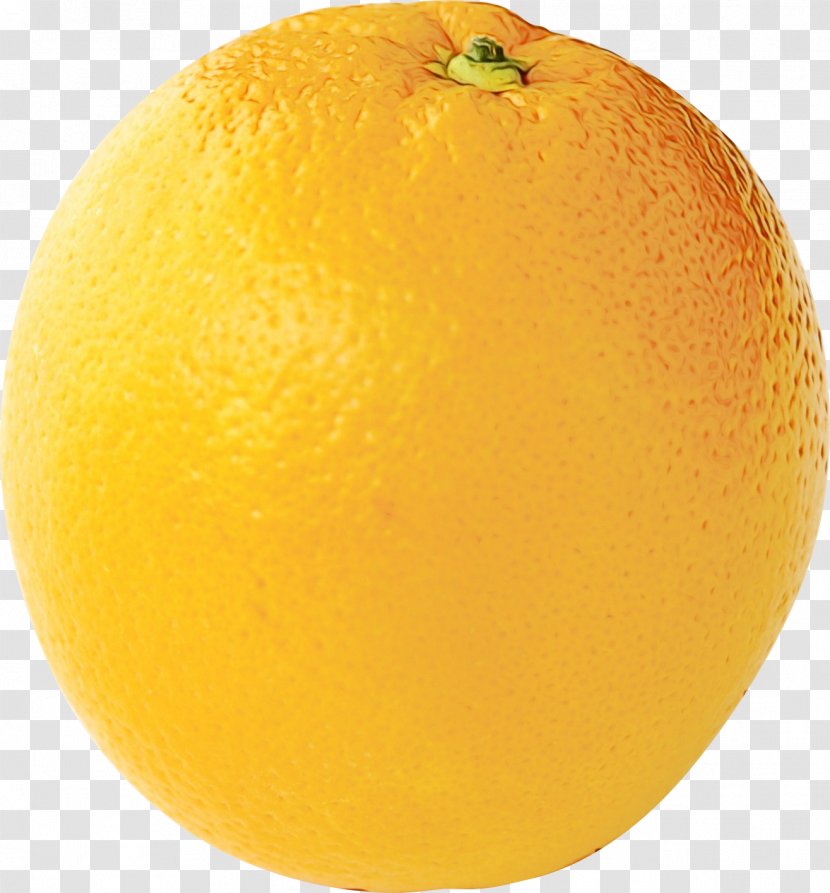Lemon Background - Vegetarian Food - Seedless Fruit Tangerine Transparent PNG