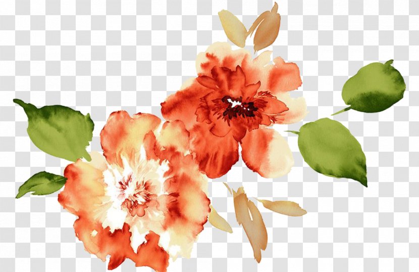 Watercolour Flowers Paper Watercolor Painting - Flower - Peony Transparent PNG