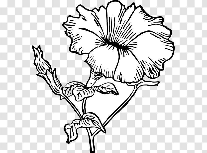 Drawing Line Art Flower Petunia Clip - Monochrome - Pea Transparent PNG
