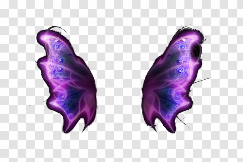 Purple Download Google Images - Color - Floating Colorful Wings Transparent PNG