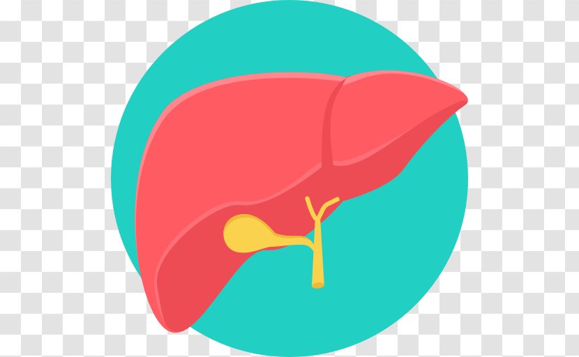 Liver Transplantation Medicine Cancer - Silhouette - Cartoon Transparent PNG