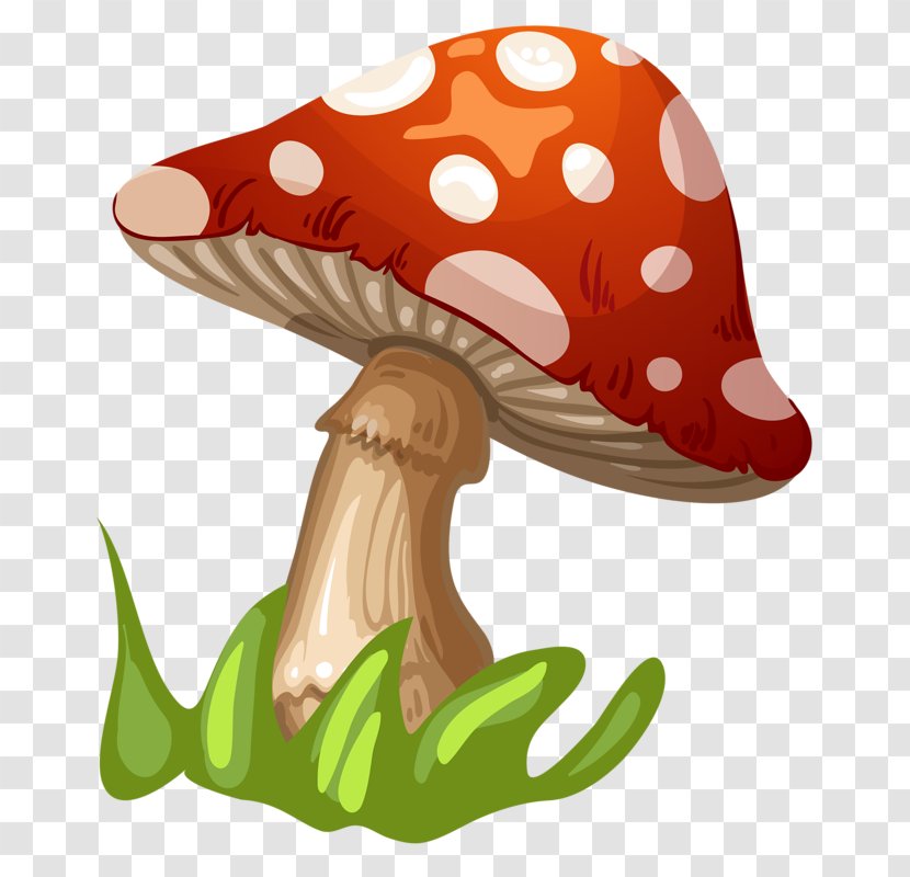Fungus Mushroom Clip Art - Headgear - Grown Mushrooms Transparent PNG