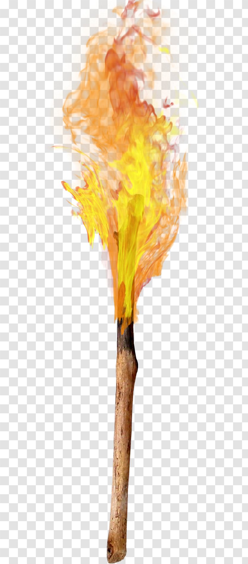 Torch Flame Combustion - Flower Transparent PNG