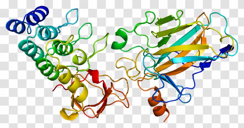 TP53BP2 Tumor Suppressor Gene Protein - Silhouette - Mito Class Transparent PNG