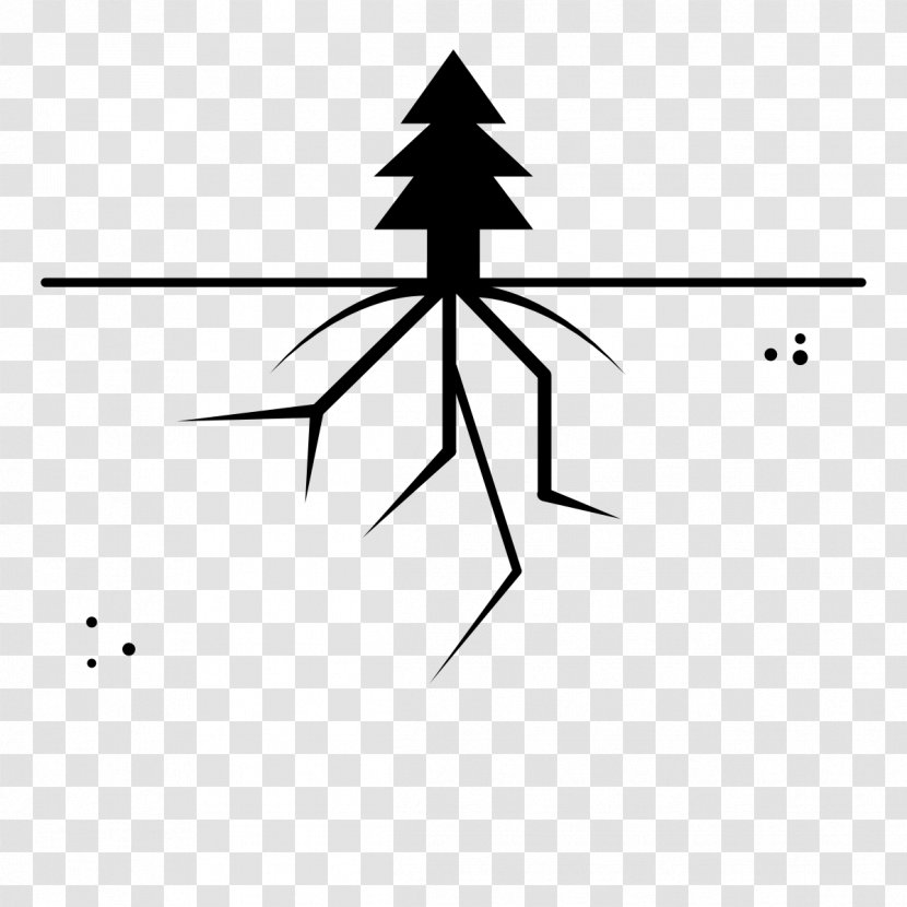 Coloring Book Drawing Tree Ausmalbild Root - Monochrome - Node Structure Transparent PNG