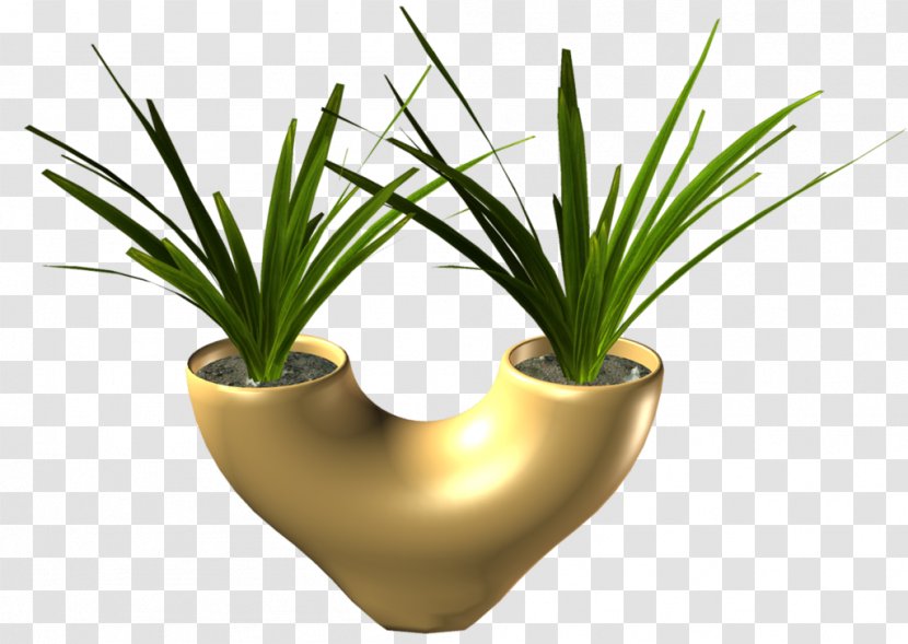 Flowerpot Grasses INAV DBX MSCI AC WORLD SF Agave - Grass - Flower Transparent PNG