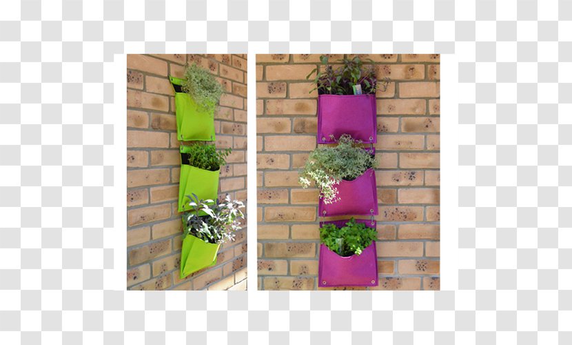 Flowerpot Green Wall Hanging Basket Garden - Nursery - Trug Transparent PNG