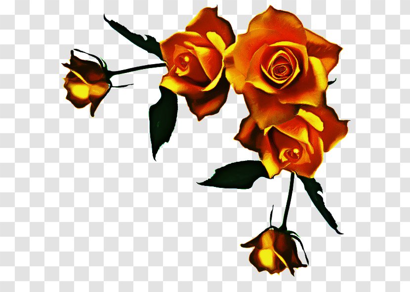 Flowers Background - Flower - Pedicel Rose Family Transparent PNG