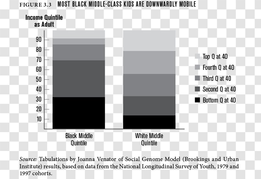 Racial Segregation African American Race Racism African-American Middle Class - Africanamerican Transparent PNG