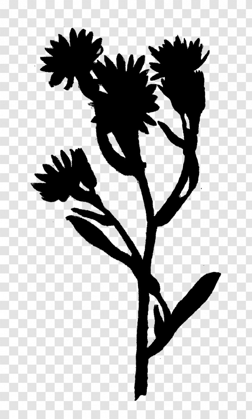 Twig Plant Stem Flower Leaf Clip Art Transparent PNG