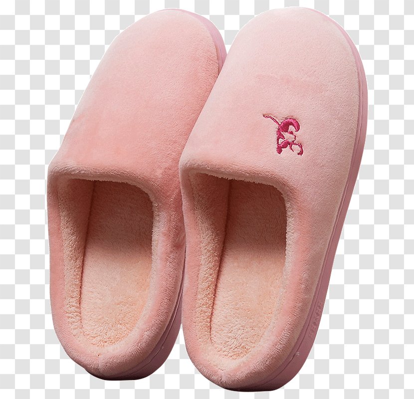 Slipper Nail Shoe - Outdoor Transparent PNG