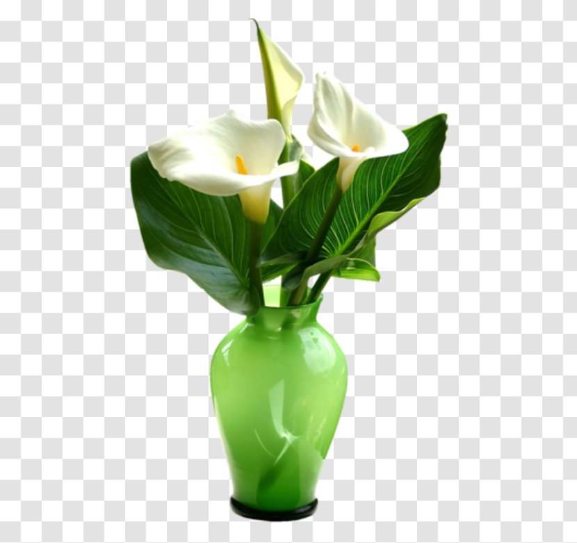 Flower Vase Floral Design - Friendship Transparent PNG
