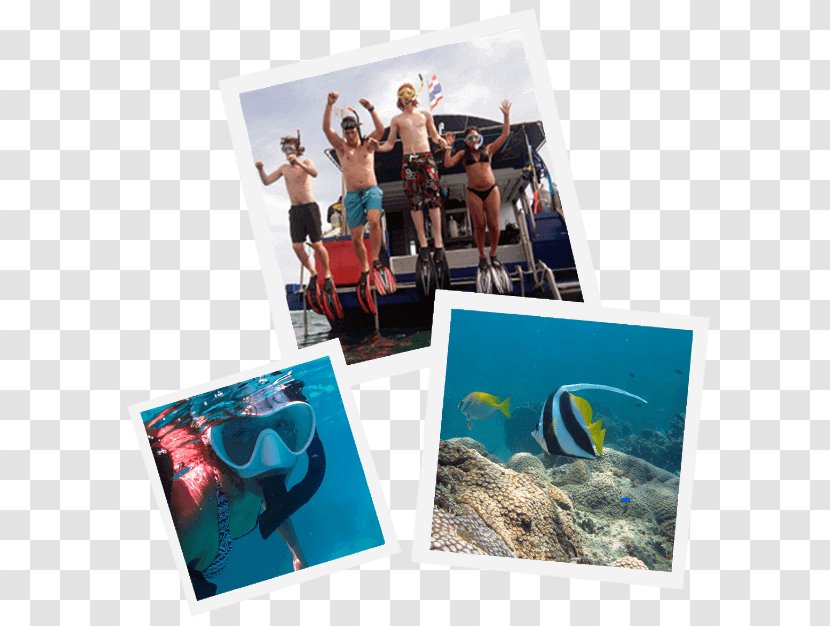 Pattaya Scuba Adventures Thailand Dive Centre: PADI 5-Star IDC Diving Professional Association Of Instructors Adventure Transparent PNG