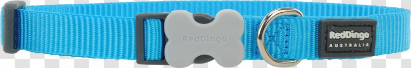 Dog Collar Leash D-ring Turquoise - Red Transparent PNG