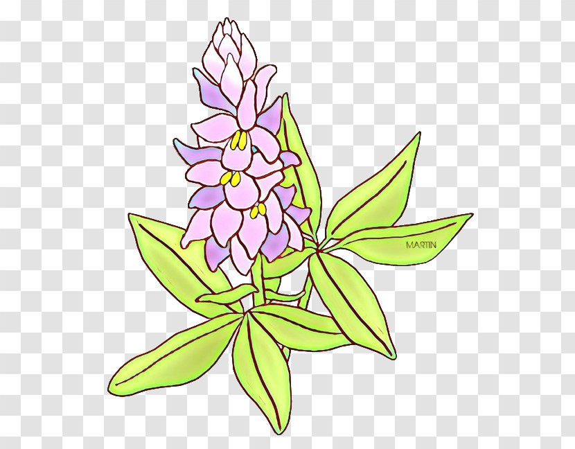 Flower Plant Leaf Herbaceous Plant Wildflower Transparent PNG