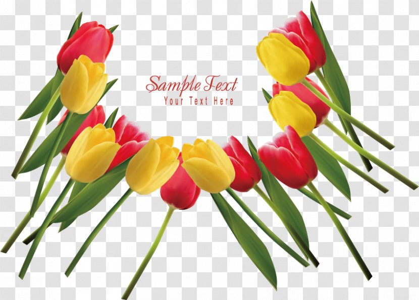 Indira Gandhi Memorial Tulip Garden Flower - Flowering Plant - Tulips Vector Transparent PNG