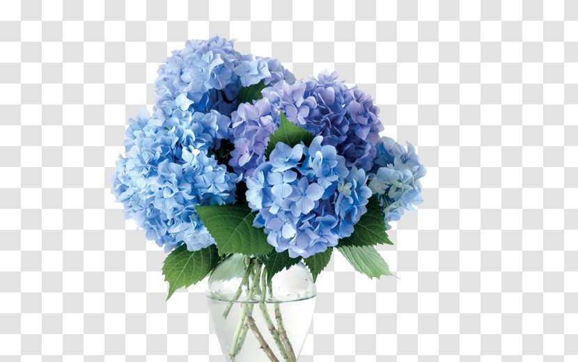 Vase Cut Flowers Hydrangea Blue - Cornales Transparent PNG