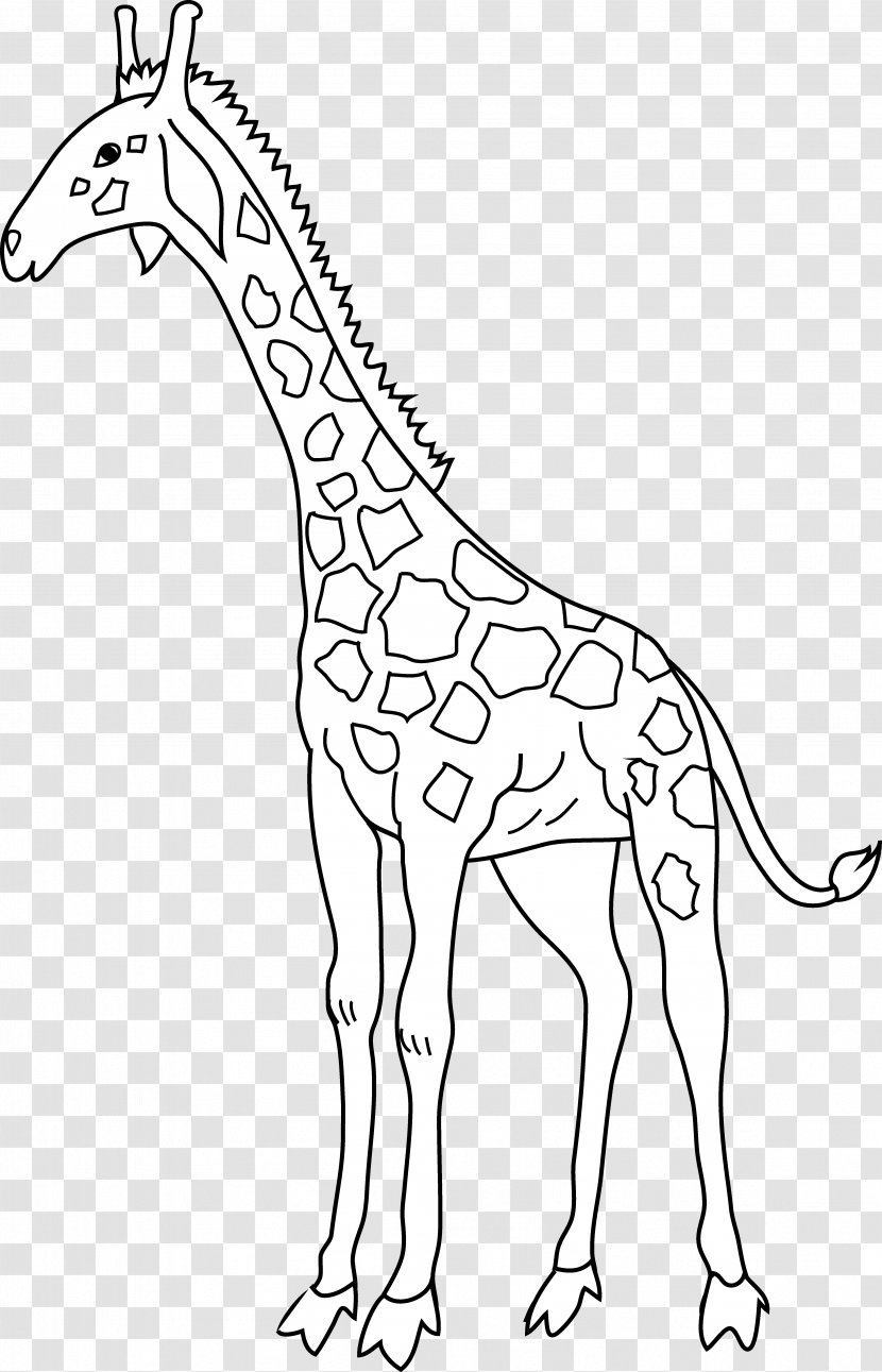Giraffe Clip Art - Organism Transparent PNG