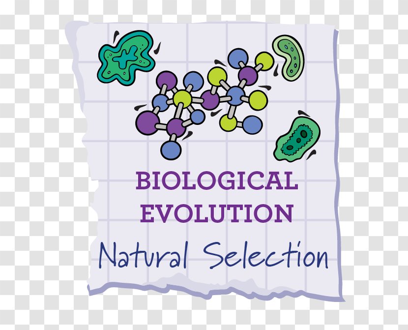Natural Selection Selective Breeding Evolution Phenotypic Trait Common Descent - Text Transparent PNG