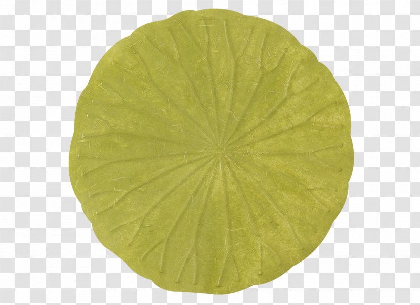 Leaf - Yellow - Product Transparent PNG