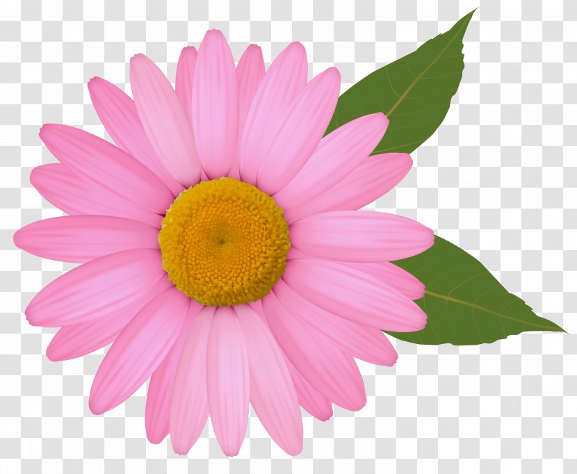 Common Daisy Clip Art - Gerber Format - Pink Clipart Image Transparent PNG