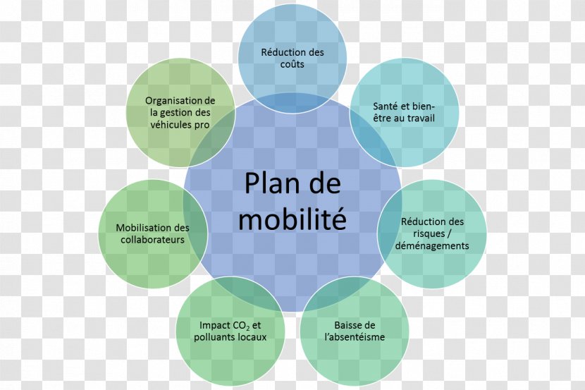 Chemistry Plan Química: A Ciência Central Science Afacere - Organization Transparent PNG