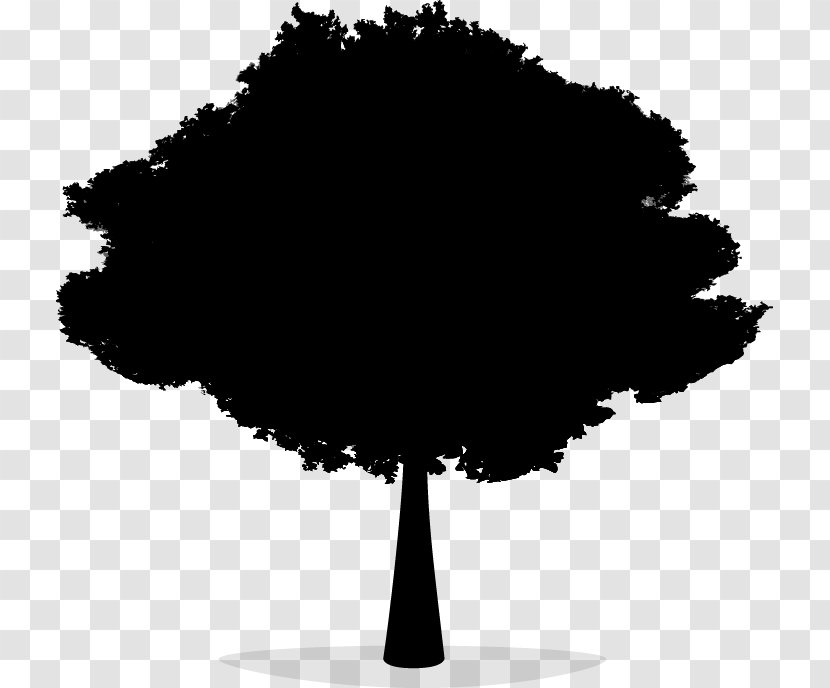 Tree Silhouette Font Leaf Sky - Blackandwhite Transparent PNG