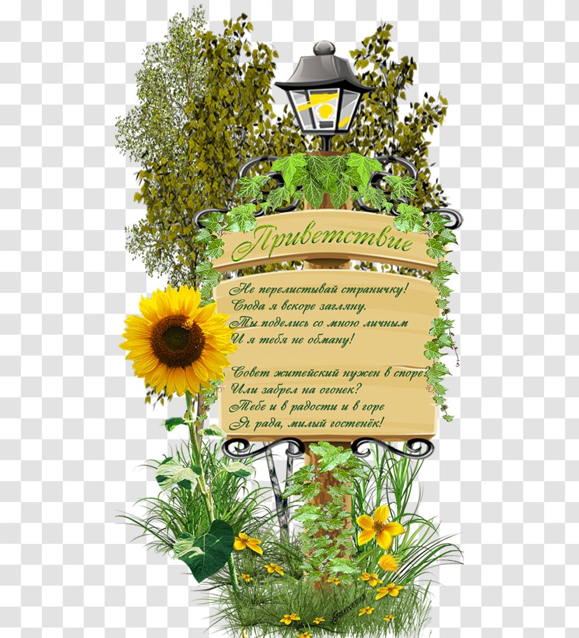 Greeting Verse Parable Floral Design Song - Diary - Ligustrum Transparent PNG