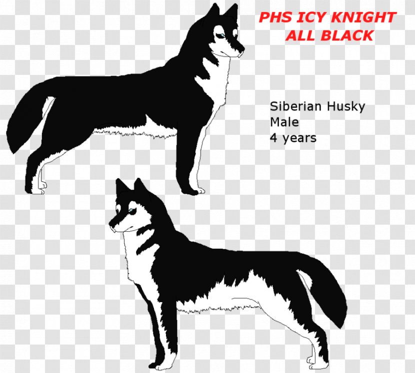 Dog Breed Siberian Husky Karelian Bear - Like Mammal Transparent PNG