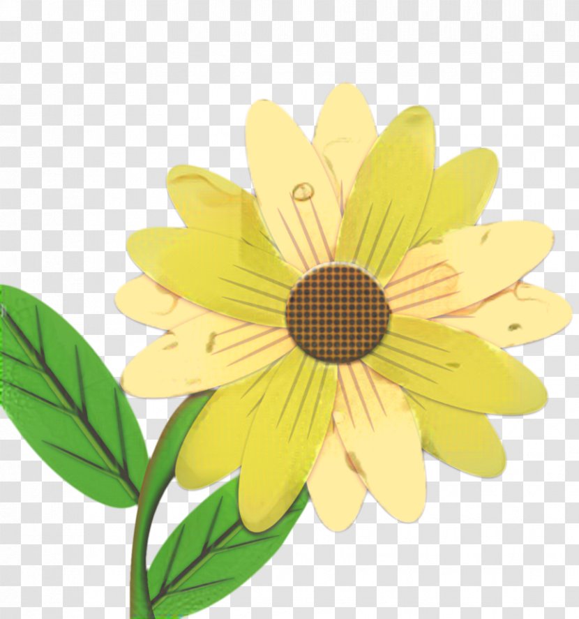 African Family - Daisy - Chamomile Mayweed Transparent PNG