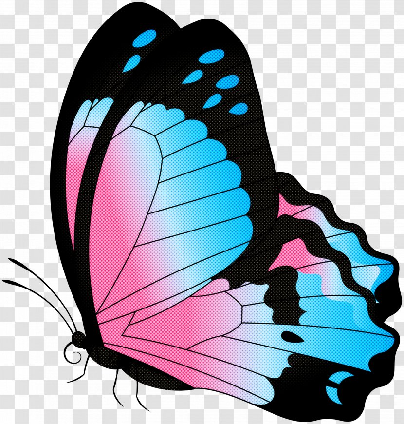 Butterfly Moths And Butterflies Insect Pink Turquoise - Brushfooted Wing Transparent PNG