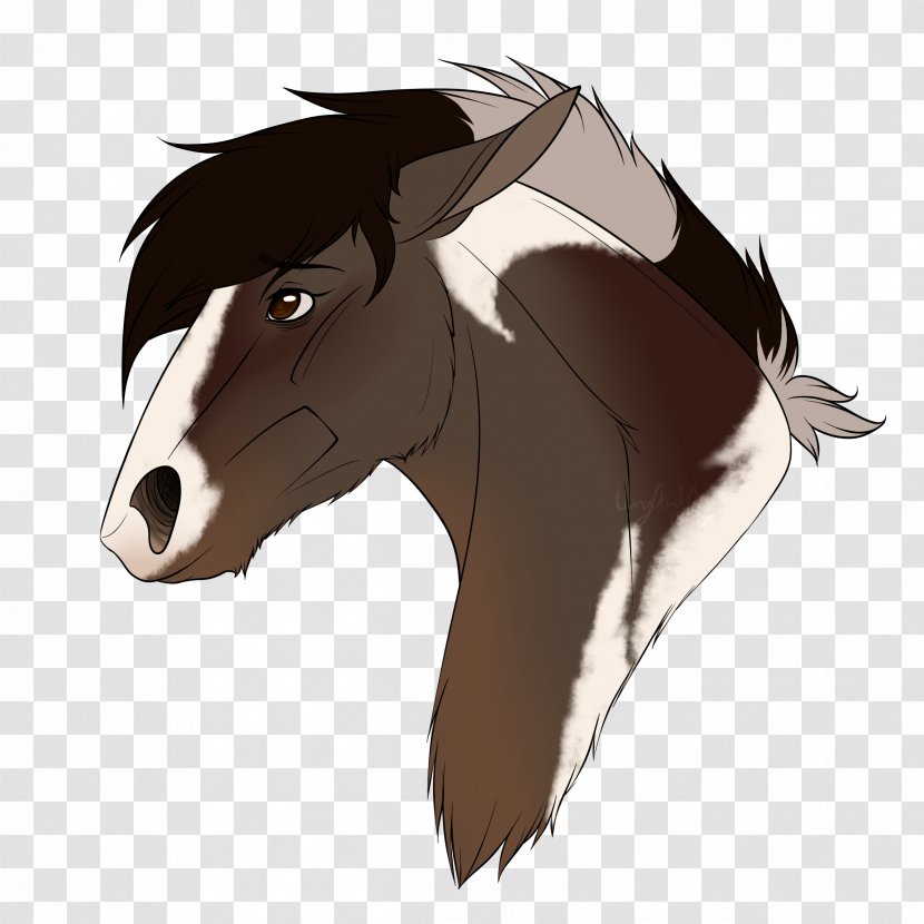 Mane Mustang Foal Colt Stallion - Rein Transparent PNG