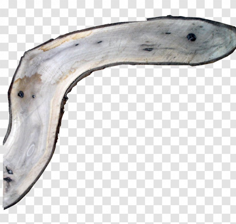 Fish Document Boomerang Image Elbow - Aboriginal Transparent PNG