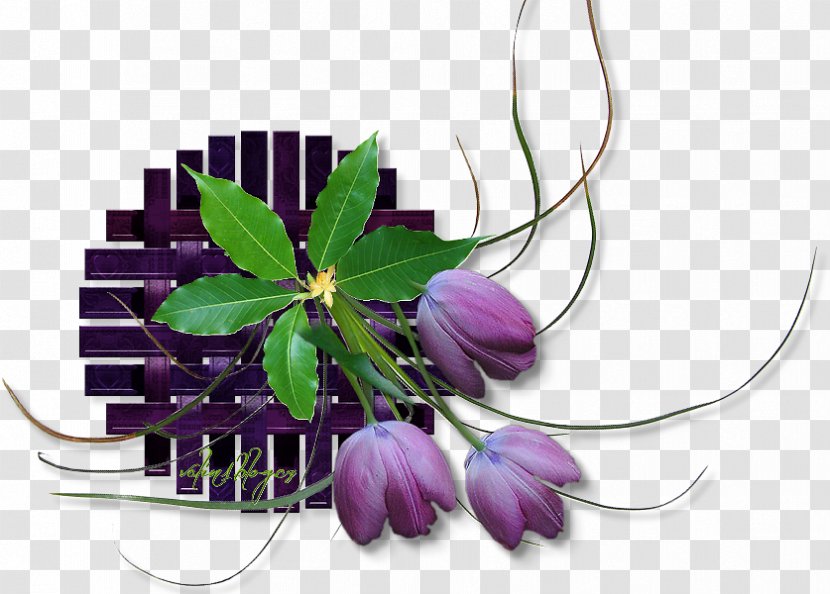 Floral Design Cut Flowers Web Browser - Flowering Plant - Flower Transparent PNG