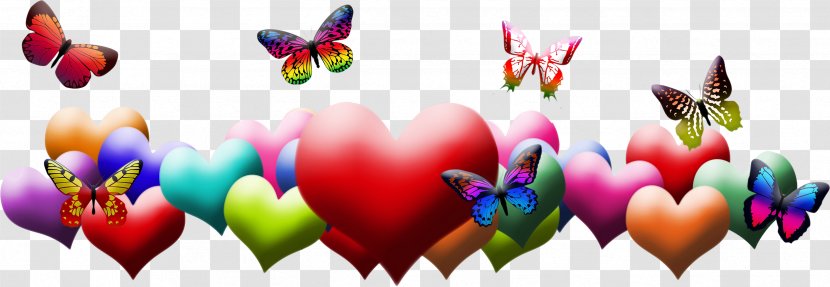 Facebook Desktop Wallpaper Pin Discover Card - Moths And Butterflies - Happiness Transparent PNG