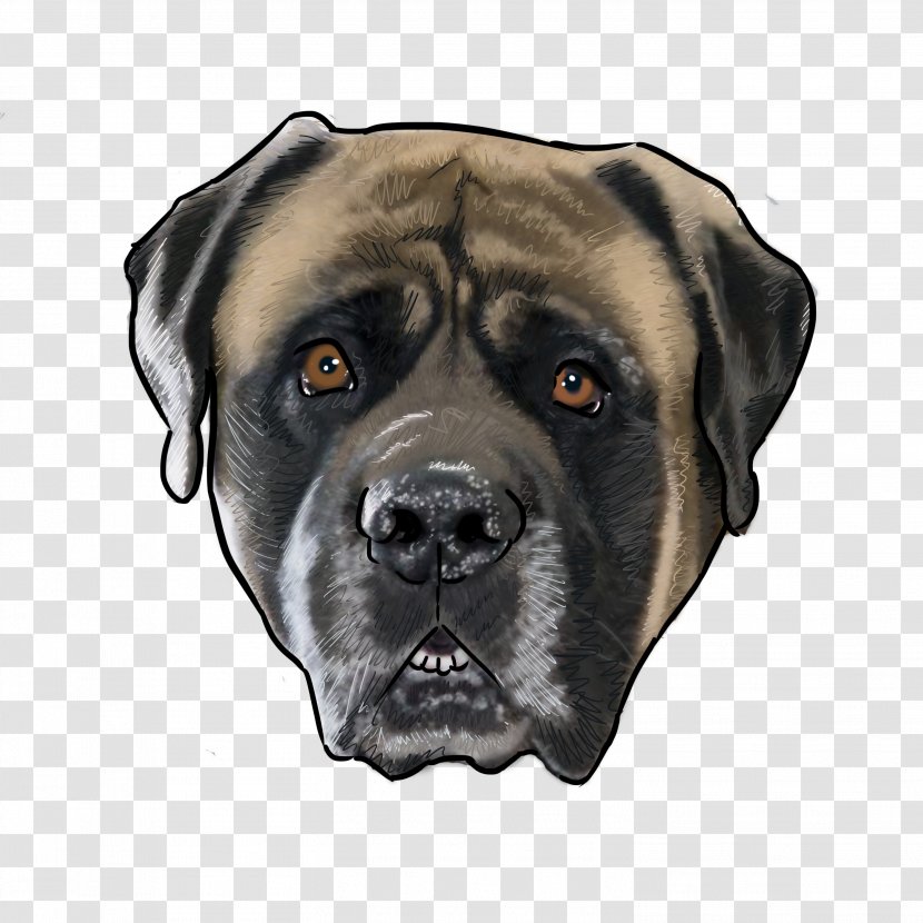 Dog Breed English Mastiff Bullmastiff Akita Chow - Shar Pei Transparent PNG